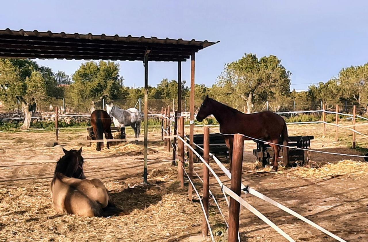 Chalet Vacacional Con Piscina Privada Y Barbacoa Tarragona Bagian luar foto
